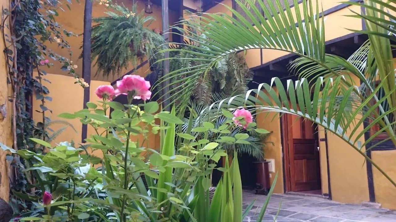 Casa La Moringa Bed and Breakfast Los Silos