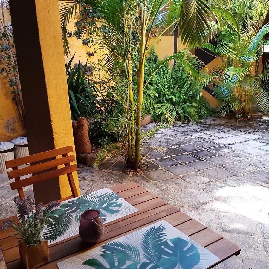 Casa La Moringa Bed and Breakfast Los Silos