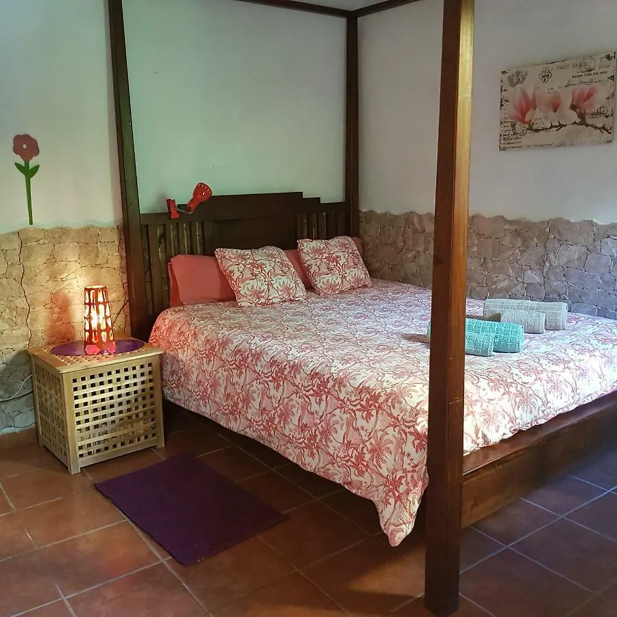 ** Bed & Breakfast Casa La Moringa Bed and Breakfast Los Silos Spanje